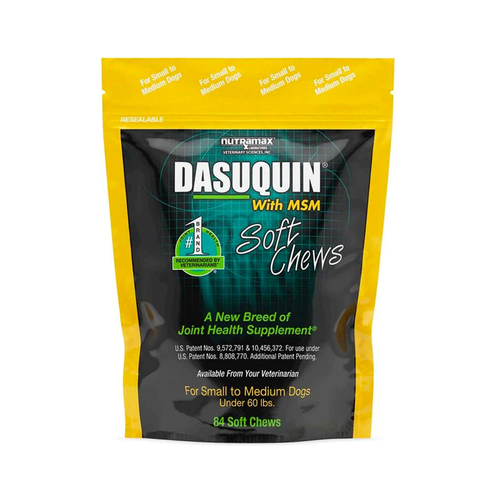 Dasuquin with msm 2024 soft chews for dogs